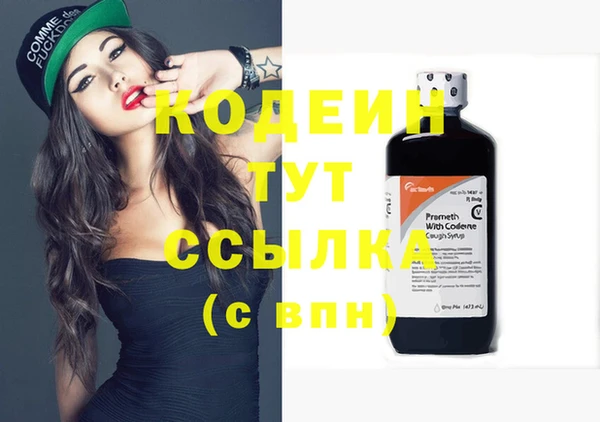 дмт Костерёво