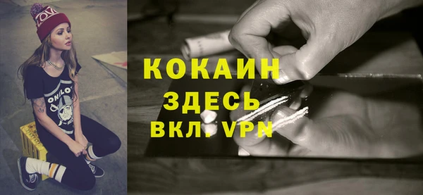 дмт Костерёво