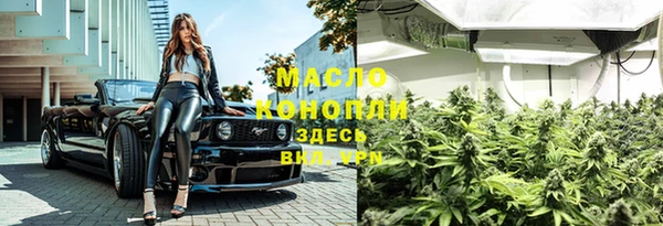 дмт Костерёво