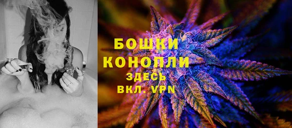 дмт Костерёво