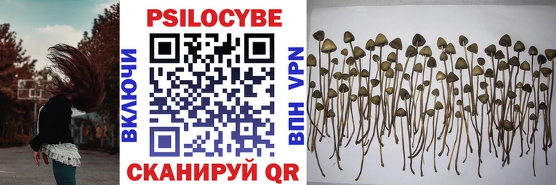 Псилоцибиновые грибы ЛСД  Купить где  Шали 